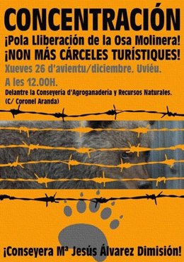 Cartel de la concentración por la osezna 'Molinera'