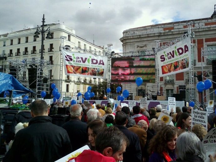 Manifestación provida en Madrid 6-4-2013
