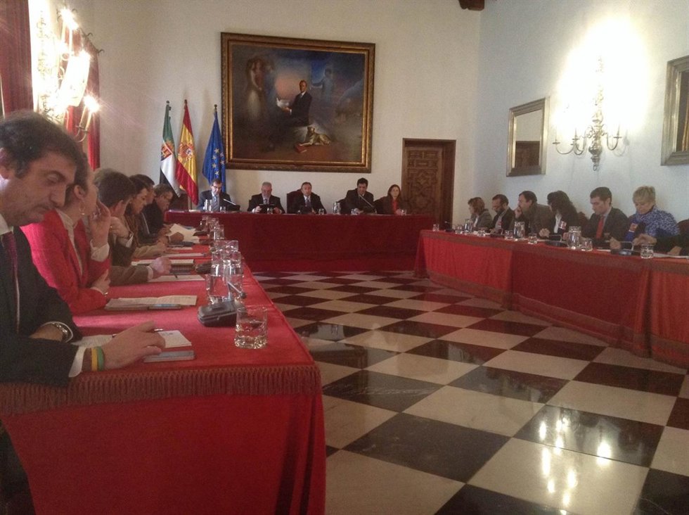 Pleno diputación