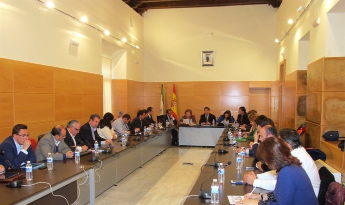 Celebración del último pleno ordinario de la Diputación de 2013.