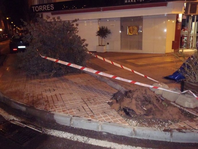 Los Bomberos realizaron una veintena de intervenciones por el temporal de viento