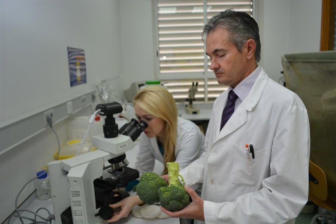 Investigadores con brócoli