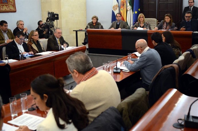 Imagen del Pleno del Ayuntamiento de Jerez celebrado este viernes