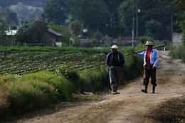 Trabajadores del campo guatemaltecos (2008).