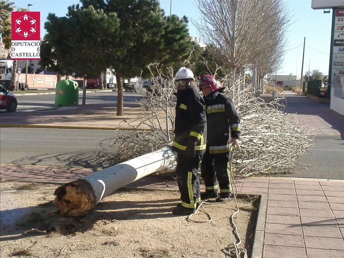 Bomberos junto a un árbol arrancado por el viento