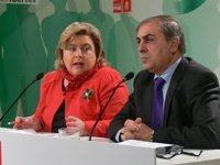 El PSOE anuncia movilizaciones y mociones en todos los ayuntamientos contra la ley del PP