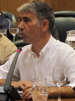 El portavoz de CHA, Juan Martín