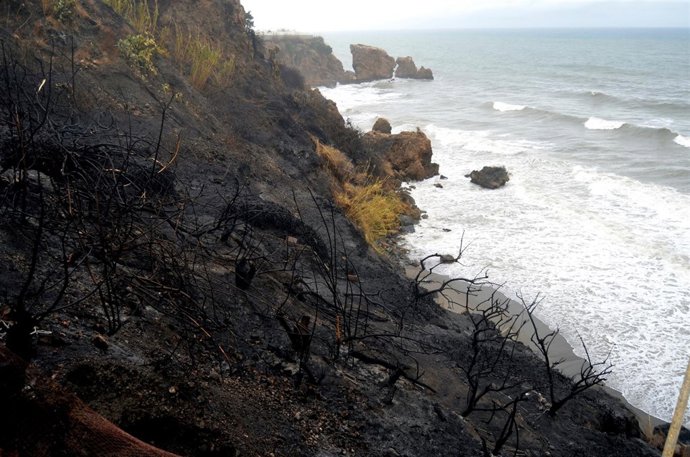 Incendio en la playa de La Caleta de Maro