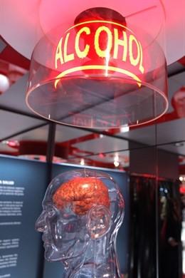 Jóvenes durante el recorrido por la exposición *** Local Caption *** CESIÓN DERE