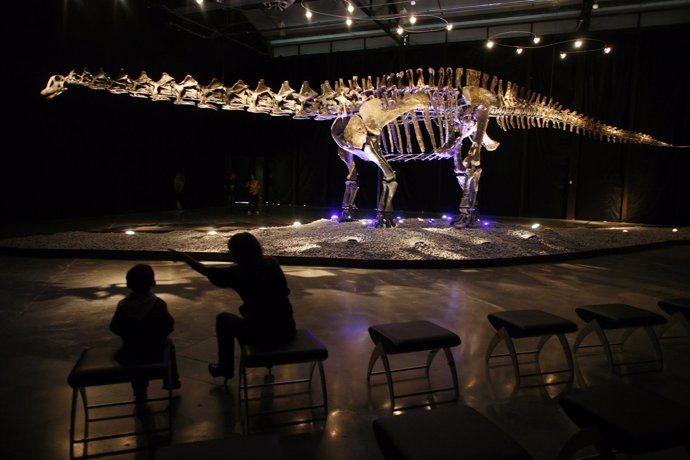 Dinosaurio, museo