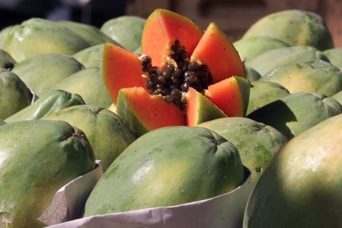 TO GO WITH STORY FOOD-BRAZIL-FRUIT - The Brazilian exotic fruit papaya, produced