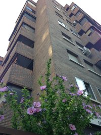 Los apartamentos turísticos de CyL registraron 17.278 pernoctaciones en noviembre de 2013, un 54,10 por ciento más