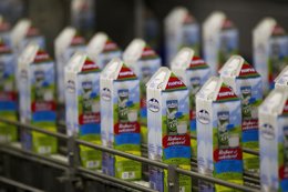 Envases De Leche De CLAS