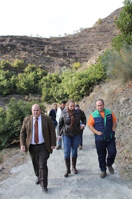 Diputación ofrece medios materiales y humanos en Jete tras el incendio