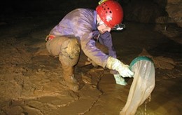 Cueva de Goikoetxe en Bizkaia