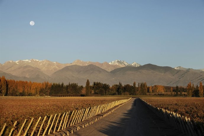 Mendoza (Argentina)
