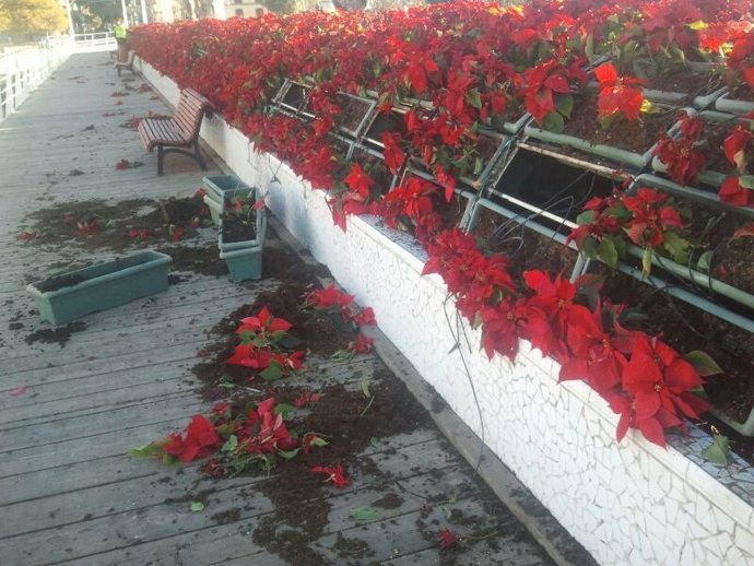 Maceteros destrozados en Puente de las Flores