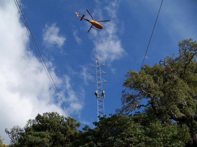 Endesa realiza mejoras en línea alta tensión entre Buitreras y Medina Sidonia.