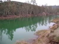 Nuevo episodio de contaminación en el Agrio por la mina de Aznalcóllar