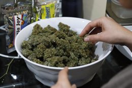 Marihuana preparación en  BotanaCare, en Colorado