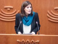 Gil Rosiña (PSOE) lamenta la "ausencia" de políticas de igualdad en Extremadura a lo largo de 2013 con Monago