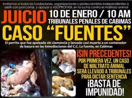 Maltrato animal en Venezuela