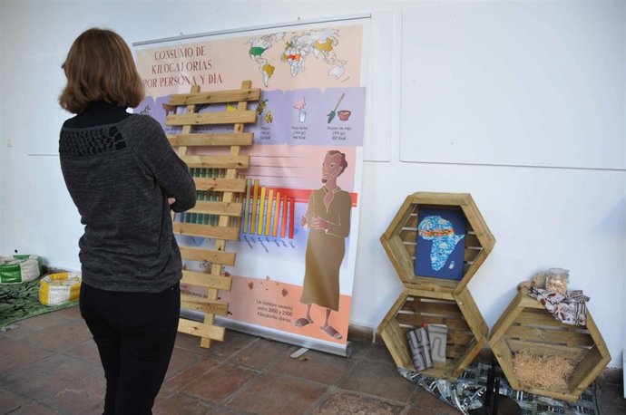 Una mujer observa algunos elementos de la muestra