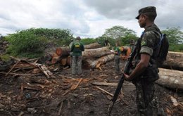 La tierra de esta tribu está siendo afectada por la deforestación ilegal.