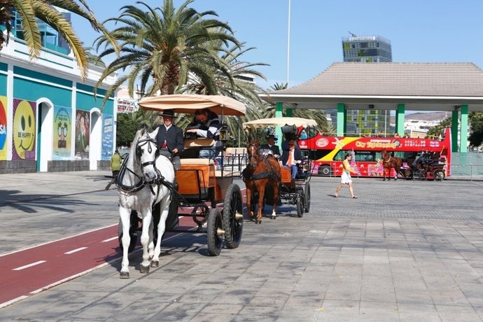 Tartanas en Las Palmas de Gran Canaria
