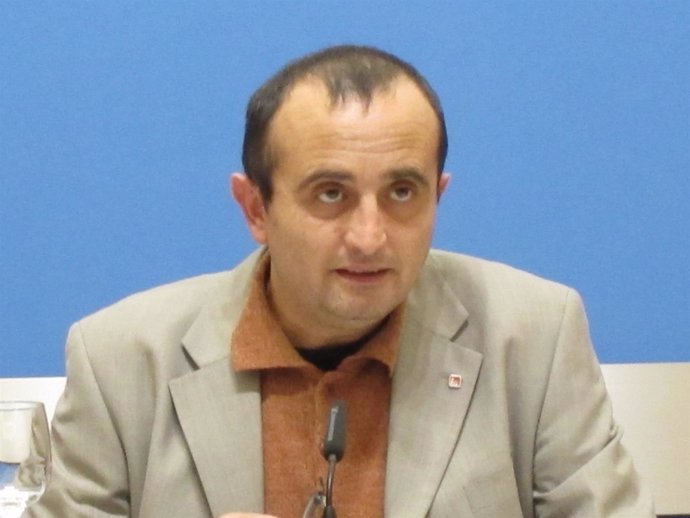 El concejal del grupo municipal de IU, Raúl Ariza