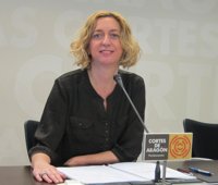 IU presenta más de 366 enmiendas a los Presupuestos de Aragón de 2014 para crear empleo y garantizar servicios públicos