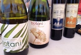 Bodegas Jorge Ordóñez