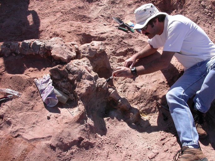 Una excavación paleontológica