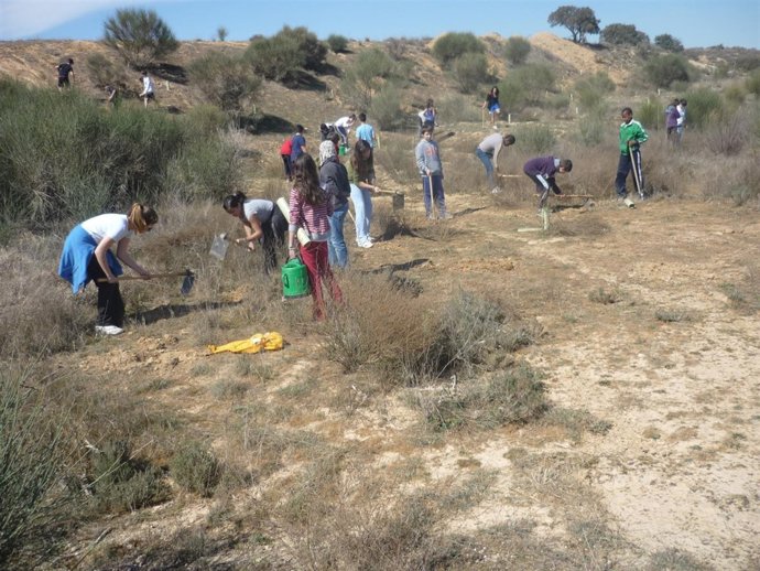 Una de las actividades de reforestación