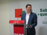 El PSOE cree que el PP "se retrata como único responsable del problema" del vuelo Sevilla-Almería