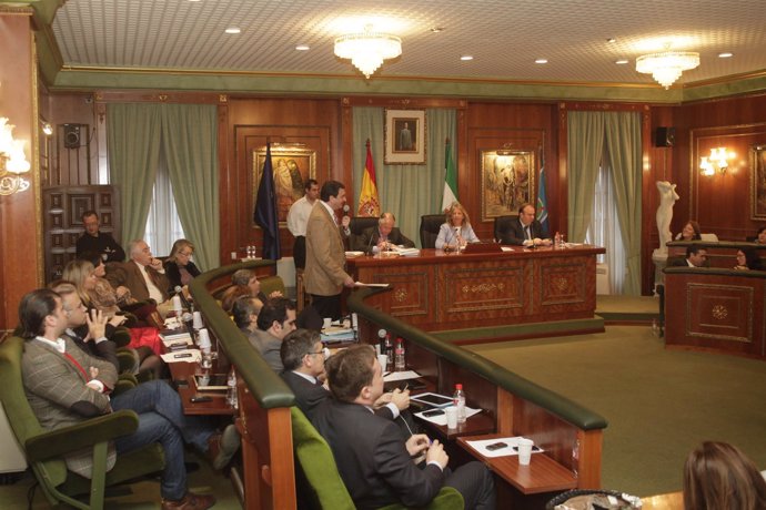 Pleno del ayuntamiento de marbella