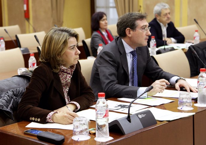 Ruiz Sillero y Carmona, en comisión parlamentaria