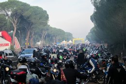 Concentración de Pingüinos 2014