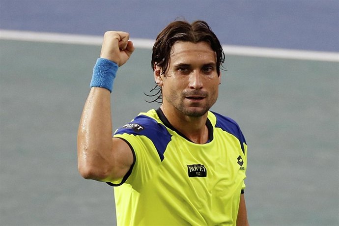 El tenista español David Ferrer 