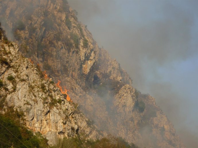 Incendio forestal en Asturias. 