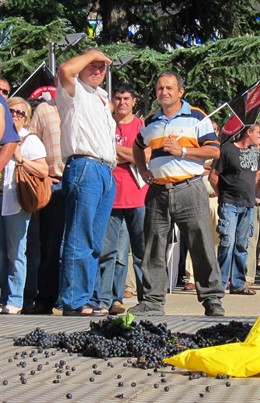 Agricultores Piden Un Precio Justo Para La Uva