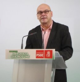 Manuel Fernández Palomino