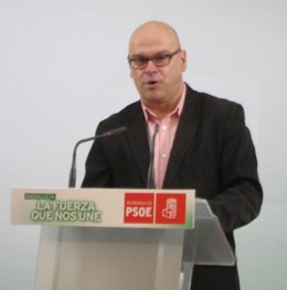 Manuel Fernández Palomino