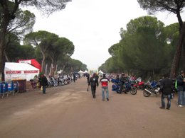 Concentración motorista invernal Pingüinos