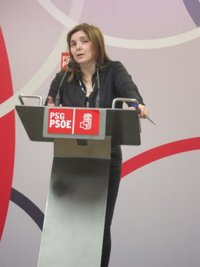 El PSdeG exige a Feijóo "flexibilidad" y "capacidad de diálogo" para la reforma electoral