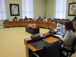 Comisión de Igualdade en el Parlamento de Galicia.
