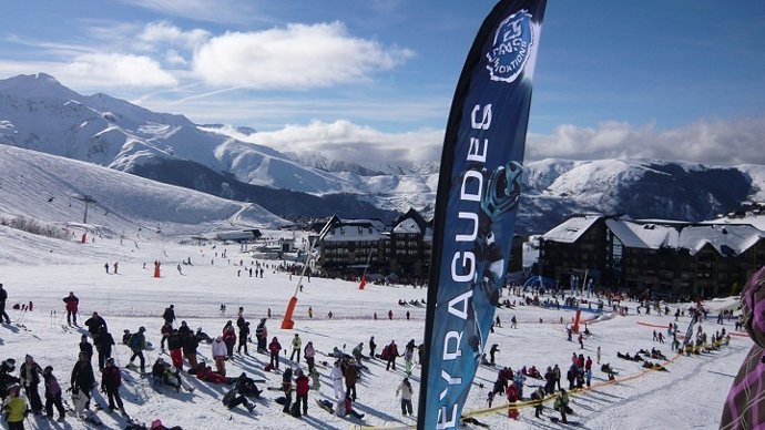 Imagen del Pirinero Francés