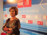PSOE exige a Sanidad que informe a los ciudadanos de la situación "real" de la epidemia de gripe
