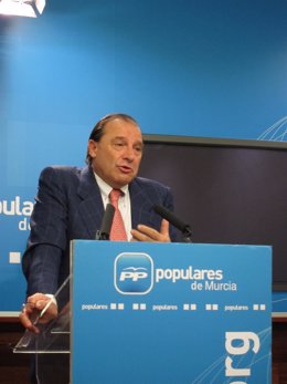 Vicente Martínez Pujalte