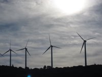 La CNMC ve positivo el decreto de renovables